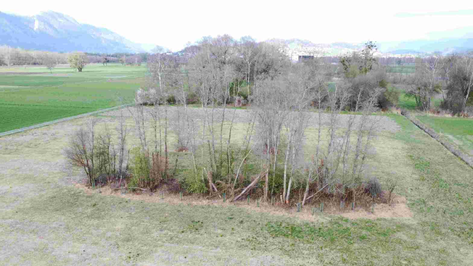 ökologische Infrastruktur