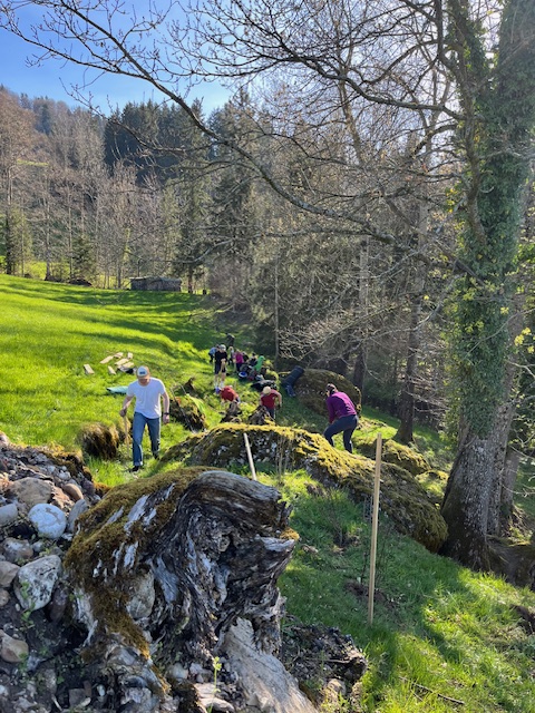 Gemeinsam für mehr Biodiversität: Wie Heckenpflanzung euer Team stärkt und die Natur schützt