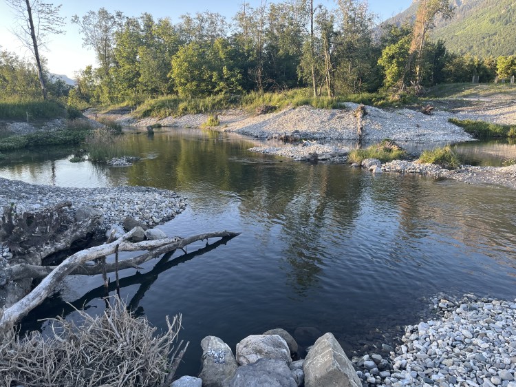 Revitalisierungen im Kanton Schwyz